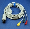 View Details for ENMR44
